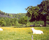 photo_vieeconomique_jeanmichel_ludwig photo_vieeconomique_jeanmichel_ludwig