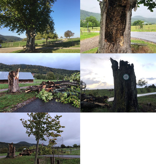 251005_Mort_D_Un_Geant_2